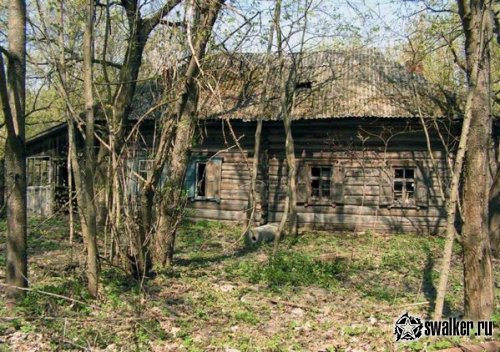 Деревня Острогляды, Гомельская область