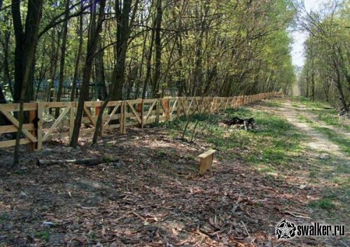 Деревня Острогляды, Гомельская область