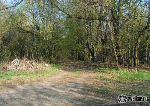 Деревня Острогляды, Гомельская область