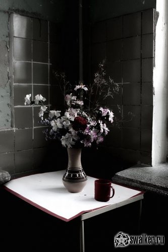 Заброшенное стоматологическое медучилище