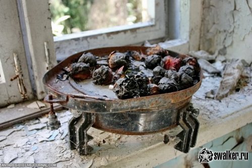 Заброшенный пионерский лагерь