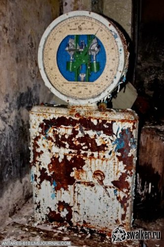 Заброшенный пионерский лагерь