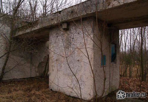 Хабнэ (ПОЛЕССКОЕ), Киевская область