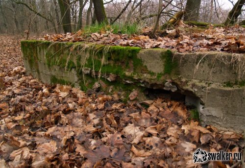 Хабнэ (ПОЛЕССКОЕ), Киевская область