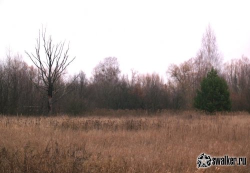 Хабнэ (ПОЛЕССКОЕ), Киевская область