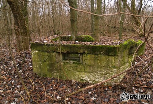 Хабнэ (ПОЛЕССКОЕ), Киевская область