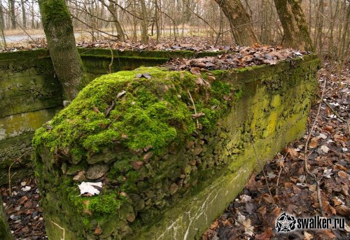 Хабнэ (ПОЛЕССКОЕ), Киевская область