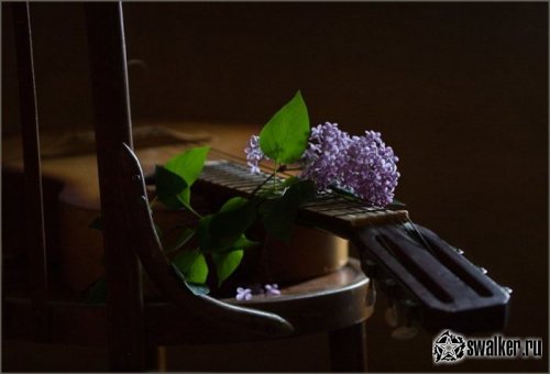 Назад, в СССР