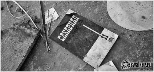 Заброшенный сахарный завод, Воронежская область