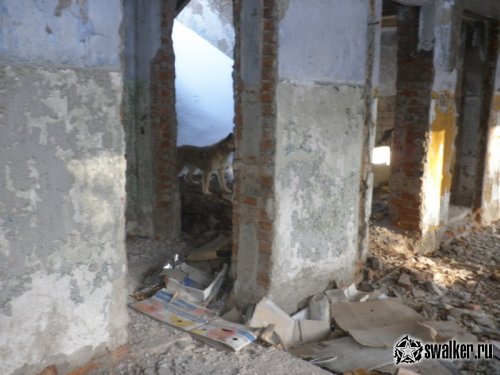 Заброшенные ясли, Челябинская область