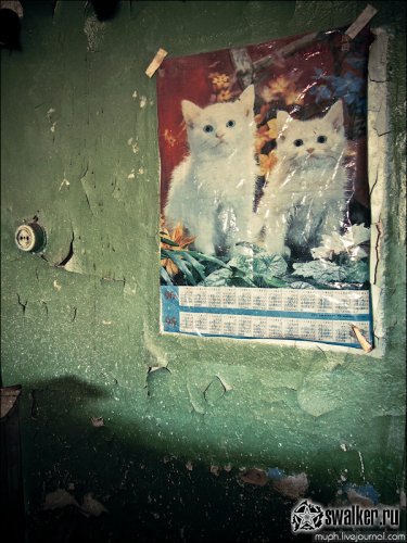 Заброшенный больничный городок, Воронежская область