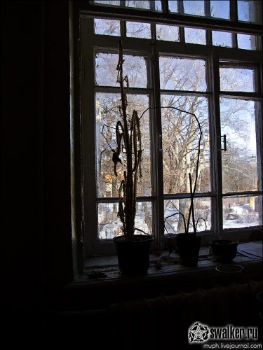 Заброшенный больничный городок, Воронежская область Заброшенный больничный городок, Воронежская область