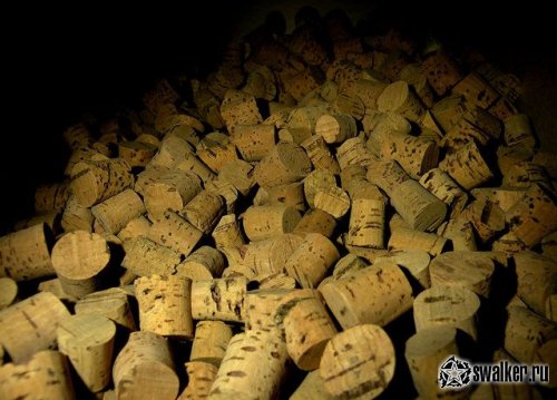 Заброшенная туберкулёзная больница, Московская область