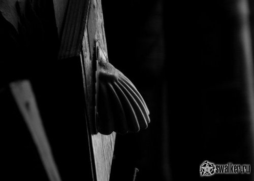 Заброшенная туберкулёзная больница, Московская область