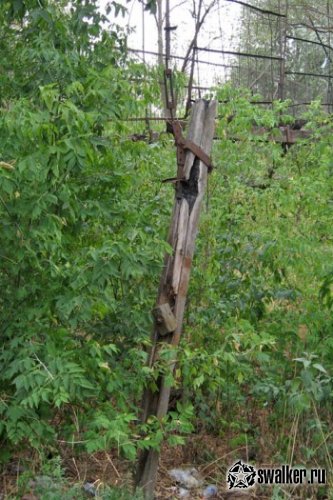 Заброшенный навесной мост, Пензенская область