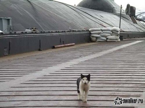 Заброшенная ядерная подлодка Акула