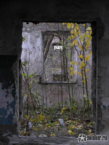 Улица Лагоды, Ленинградская область Улица Лагоды, Ленинградская область