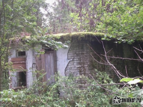 Брошенный пионерлагерь Огонек, Московская область