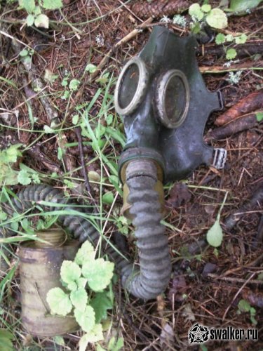 Брошенный пионерлагерь Огонек, Московская область