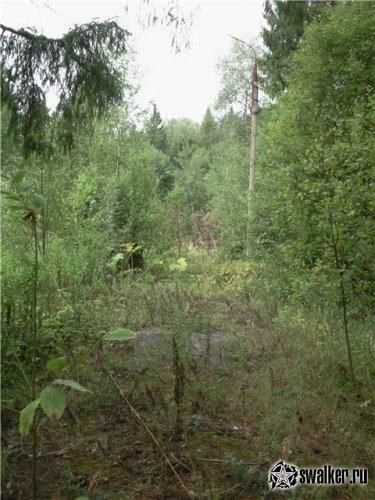 Брошенный пионерлагерь Огонек, Московская область