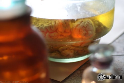 Заброшенная лаборатория мозга, Москва