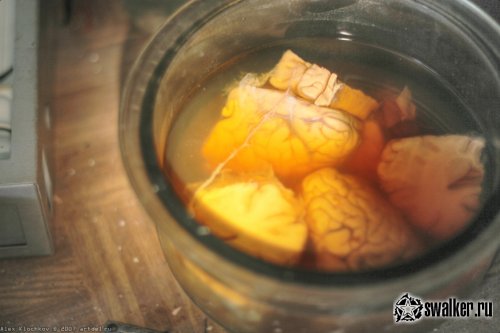 Заброшенная лаборатория мозга, Москва