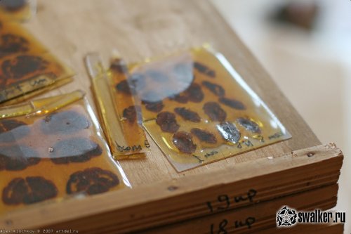 Заброшенная лаборатория мозга, Москва