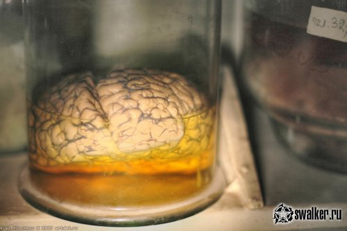 Заброшенная лаборатория мозга, Москва