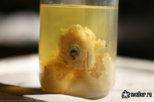 Заброшенная лаборатория мозга, Москва