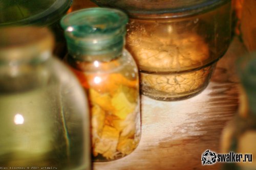 Заброшенная лаборатория мозга, Москва