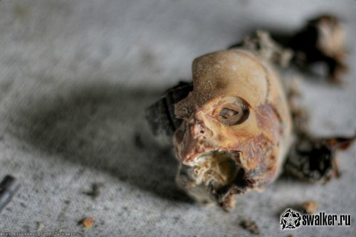 Заброшенная лаборатория мозга, Москва