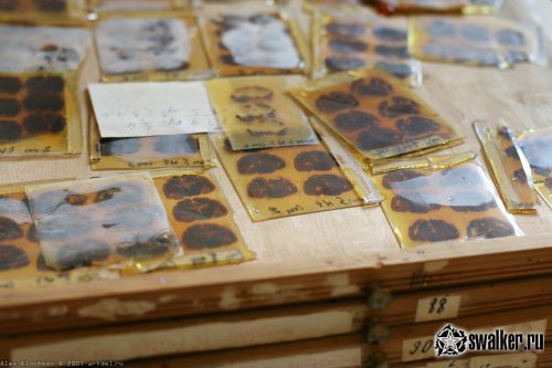 Заброшенная лаборатория мозга, Москва