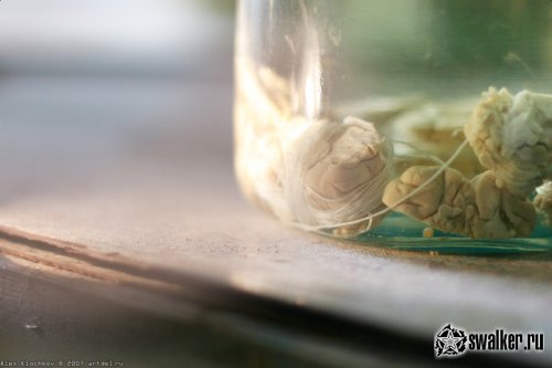 Заброшенная лаборатория мозга, Москва