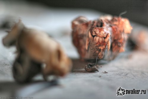 Заброшенная лаборатория мозга, Москва