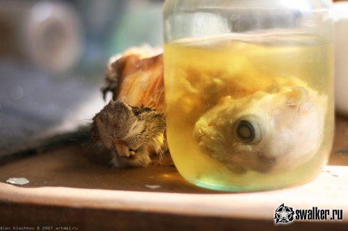 Заброшенная лаборатория мозга, Москва