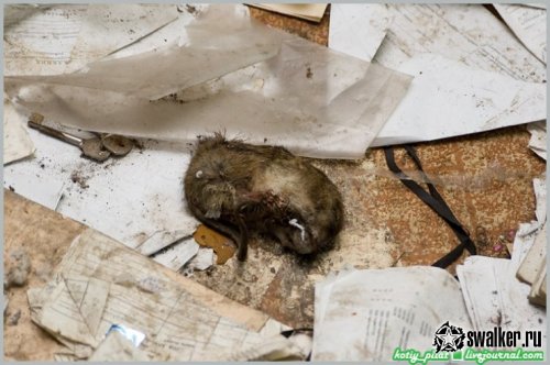 Заброшенный отдел ГИБДД, Москва