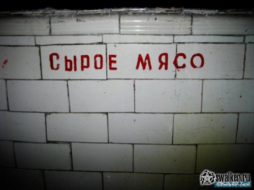 Заброшенный пионерский лагерь Красная звездочка