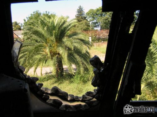 Заброшенный самолет в Абхазии Заброшенный самолет в Абхазии