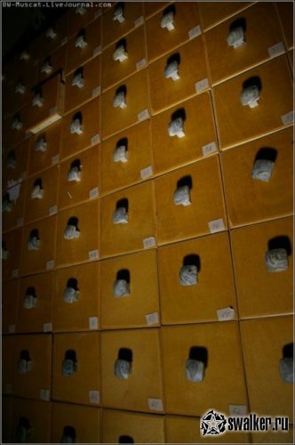 Действующее бомбоубежище