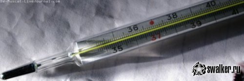 Действующее бомбоубежище