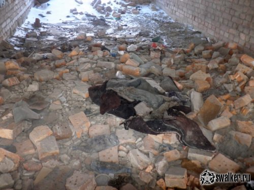 Семейное общежитие (Версия 2), Челябинская область