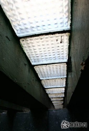 Лаборатория по исследованию вирусных инфекций (версия 2), Украина