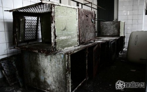 Лаборатория по исследованию вирусных инфекций (версия 2), Украина