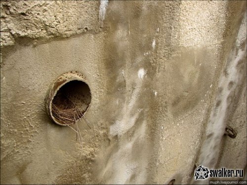 Заброшенные очистные сооружения, Волгоград