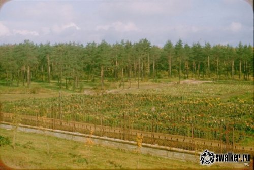 Москва, 1956 год