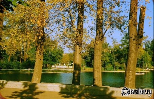 Москва, 1956 год