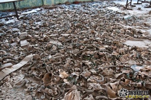 25 Летию аварии на ЧАЭС посвещается. Припять наши дни