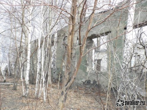 Столярная мастерская лесопилки, Челябинская область