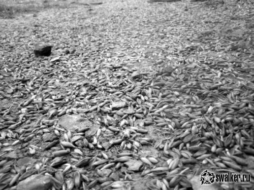 Заброшенная шахта, Челябинская область