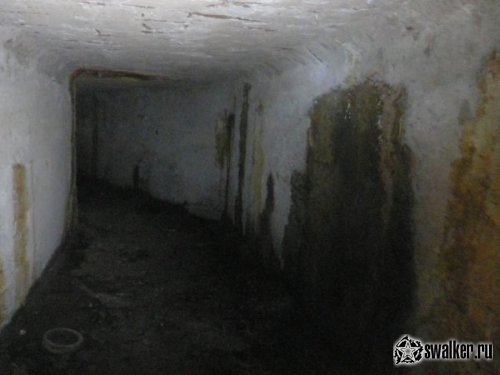 Заброшенная шахта, Челябинская область Заброшенная шахта, Челябинская область